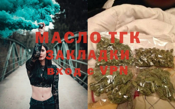 молекула духа Вяземский