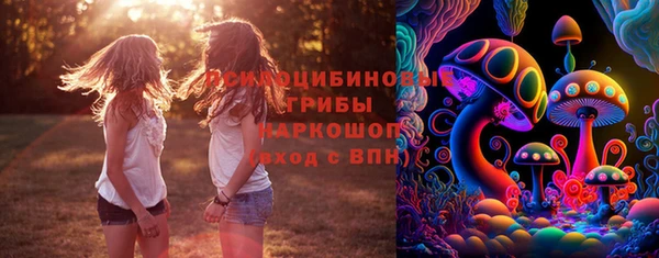 spice Осинники