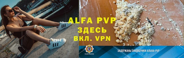 spice Осинники