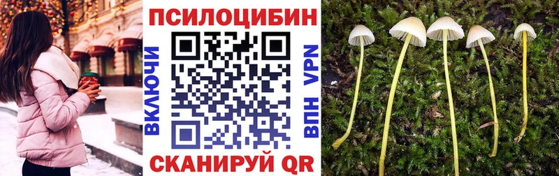 Галлюциногенные грибы Psilocybine cubensis  где найти   Ак-Довурак 
